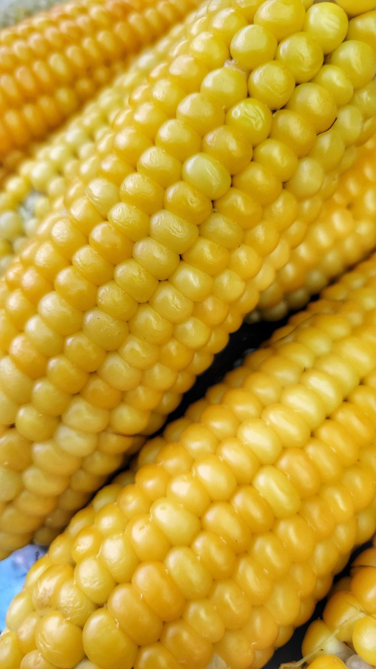 How To Tell When Corn On The Cob Is Actually Done